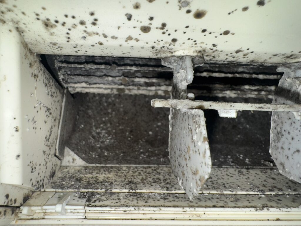 クリーニング前のエアコン吹き出し口 - 黒カビが蓄積した状態