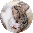 。ぽん profile picture